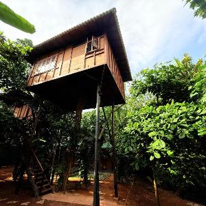 Tree House Mirissa
