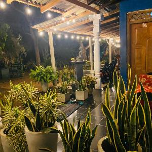 Night Owl Hostel Sigiriya