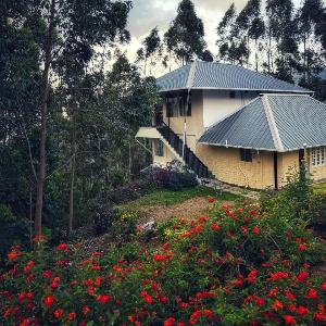 Honeyrock Farm Resort by Skybz