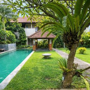 Palm 57 Guest House Legian