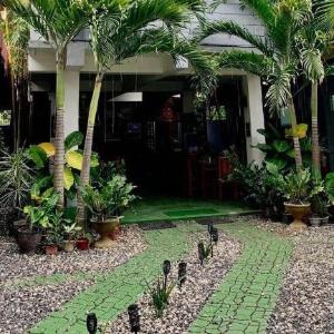 Mischa Hostel