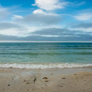 Blue Sky Sea View Apartment