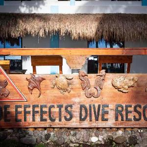 Side-Effects Dive Resort Dauin