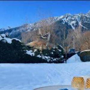 Cozy with garden parking and Mont-Blanc view