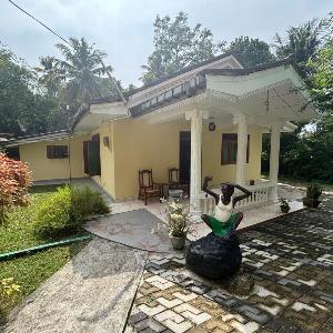 The yogis House