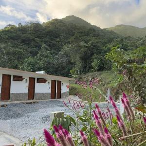 Finca Ki' - Eco Farm Stay Bed & Breakfast - El Yunque Region