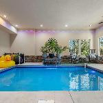 Indoor Pool - Forest Views - Hot Tub - Arcade Room Sevierville