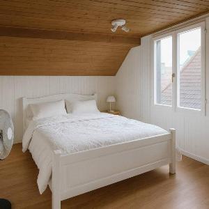 Modern 2BR Loft in Historic Swiss Chalet 200m from Interlaken West