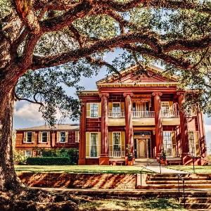 Magnolia Hall - Henderson Suite - King Suite