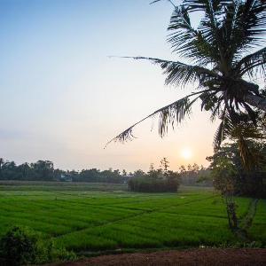 Paddy House Ahangama