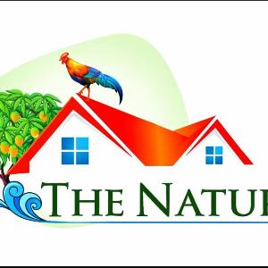 The Nature