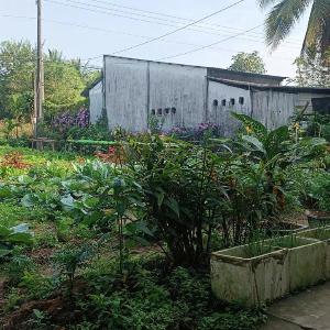 Green house