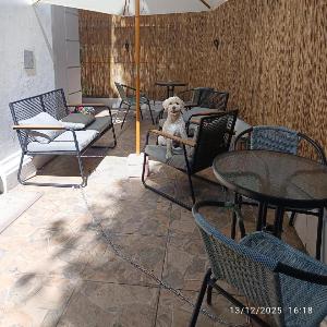 Casa Tribu