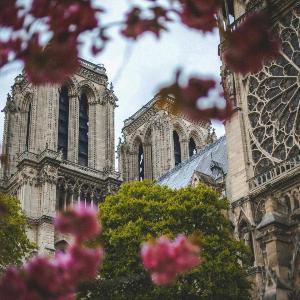 Luxury A C Apt - 10P 4BDR - Arc de Triomphe
