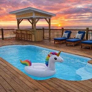 Parrot Dice. On the beach pool