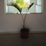 Karima house B Luxor 