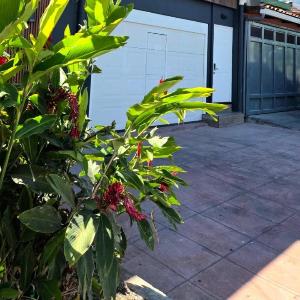 Apartamento 2A Brand New Suite in San Salvador