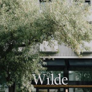 Wilde Porto Clerigos