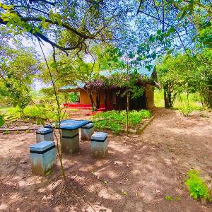 Wilpattu Landa Lodge