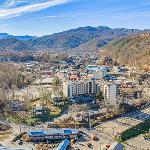 The Pioneer Unit 207 Tennessee