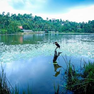 Jayaweera Eco Resort