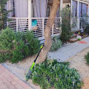 Apartments with parking space Biograd na Moru Biograd - 25163