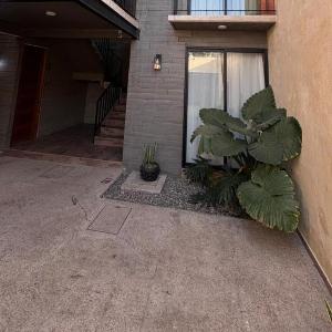 Suites Oros