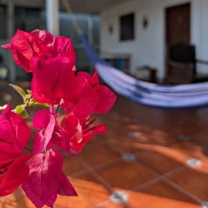 Casa Liz
