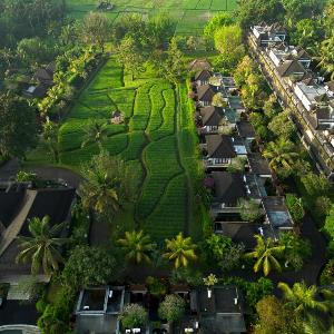 Visesa Ubud Villa