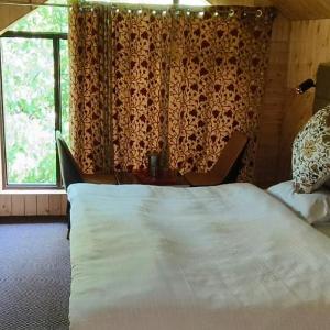 houseboat star ruby snow view