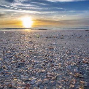 2 - Silver Sands - Seaglass