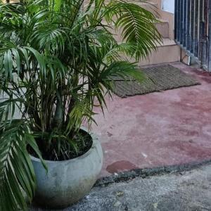 Linea Residency