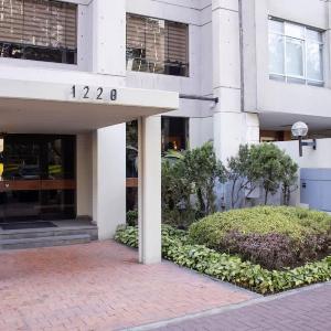 3BR Classic Apartment in San Isidro