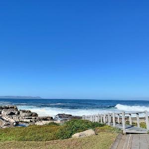 Whale Rock 32