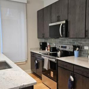 Renovated 3 Bedroom Chicago Downtown Pilsen