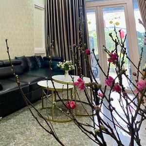 Kavy Homestay