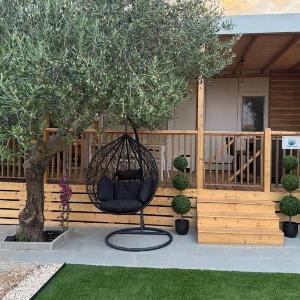 Apartments by the sea Biograd na Moru Biograd - 25181