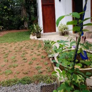 Green Place Hikkaduwa