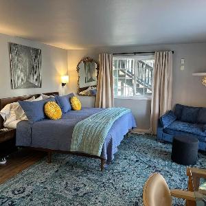 The Dandelion SV-Bloom. B&B Reimagined