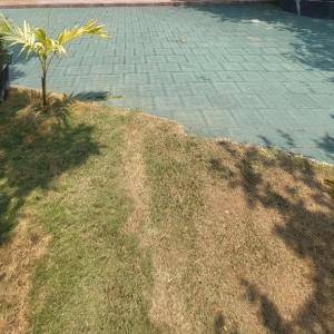 Villa Olive