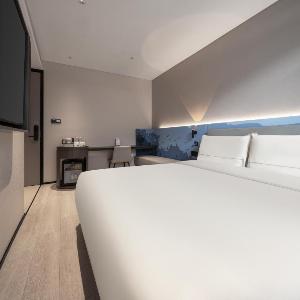 Atour Light Hotel Nanjing Deji Plaza Zhujiang Road