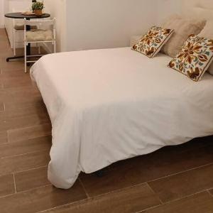Magnífico apartamento en pleno centro de Madrid