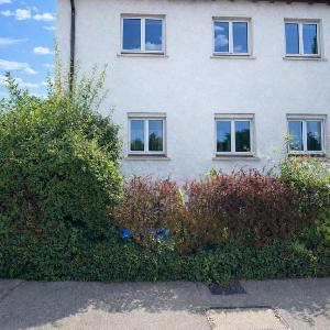 SEE:RAUM