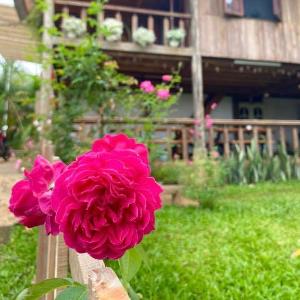 MAY GARDEN 2 _HOMESTAY PLEIKU