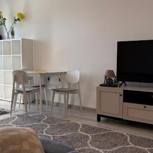 Fantastic Cozy Studio