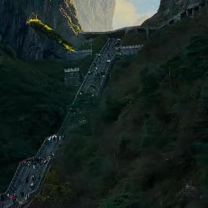 Zhangjiajie Spring Plum Resort-Free One-way Pickup-A 5 minutes'walk to Forest Park