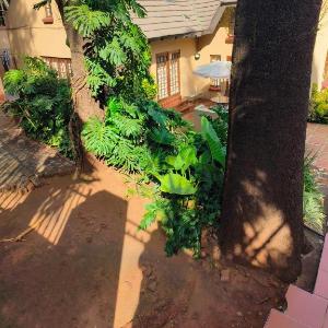 Lalakamnandi Guesthouse
