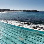 Bondi Junction Apt Close to Shops Transport and Beach Sydney 