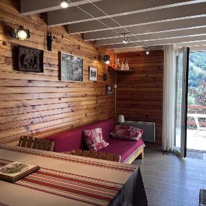 Duplex à Cauterets: terrasse barbecue 2 ch - FR-1-812-89