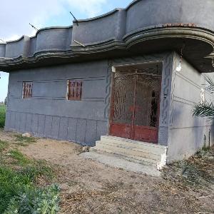 Golden sweet house